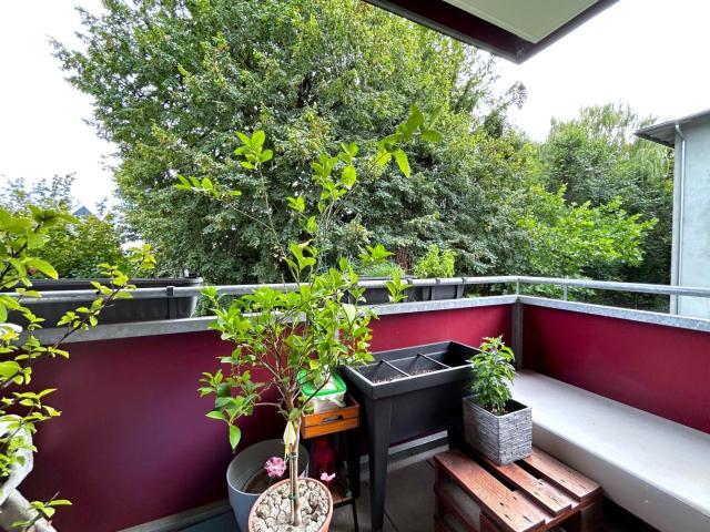 Apartment mieten in Wagram, Pasching
