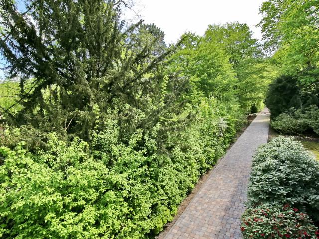 Apartment mieten in Baden-Baden