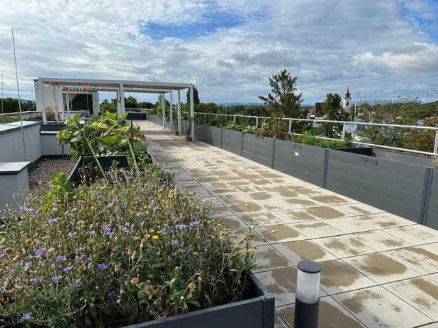 Wohnung mieten in Ebreichsdorf, Niederösterreich