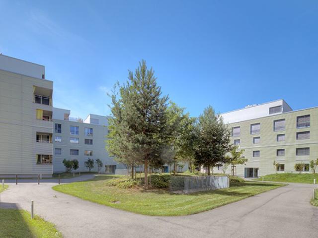 Wohnung mieten in Aarau, Aargau