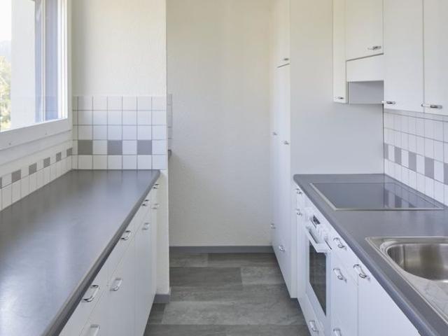 Apartment mieten in Windisch, Aargau