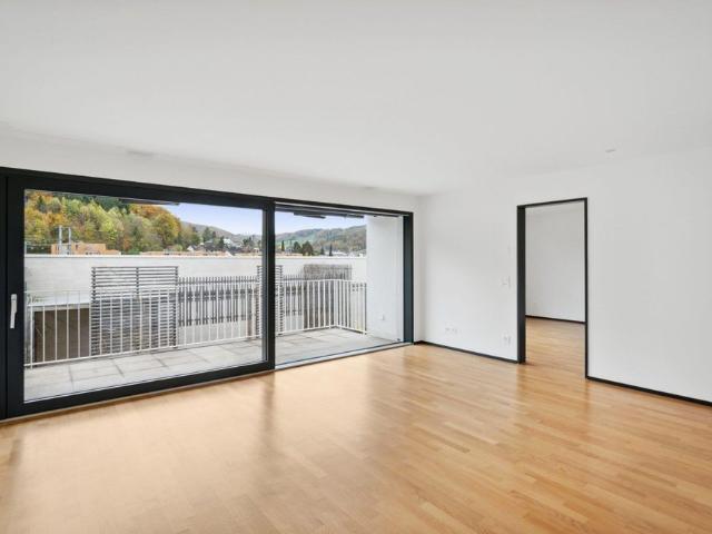 Apartment mieten in Sissach, Bezirk Sissach