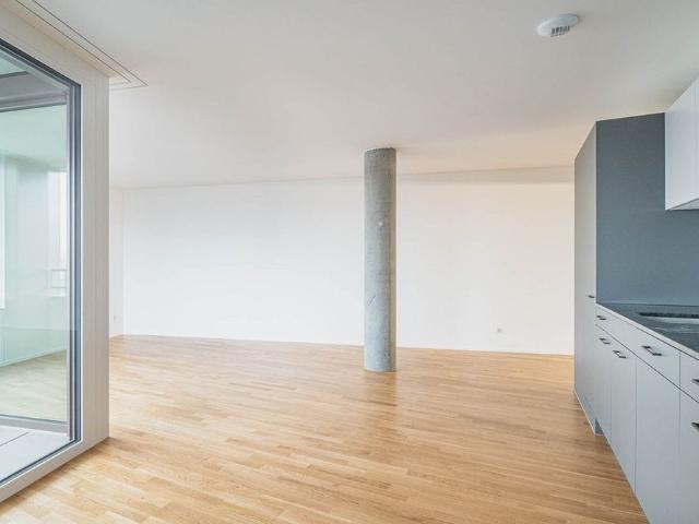 Apartment mieten in Neuhausen, Schaffhausen