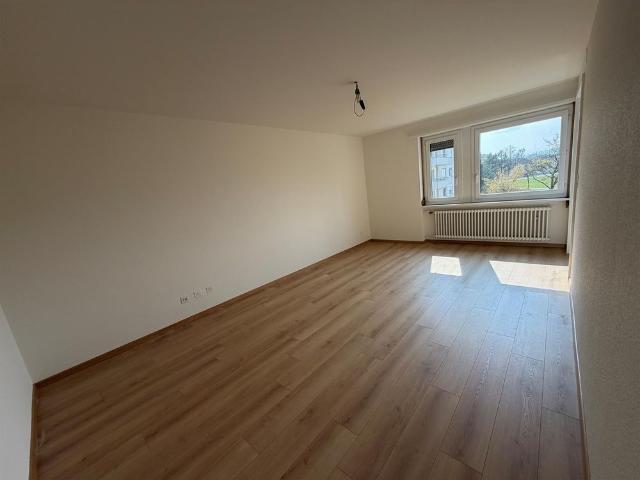 Apartment mieten in Nänikon, Uster