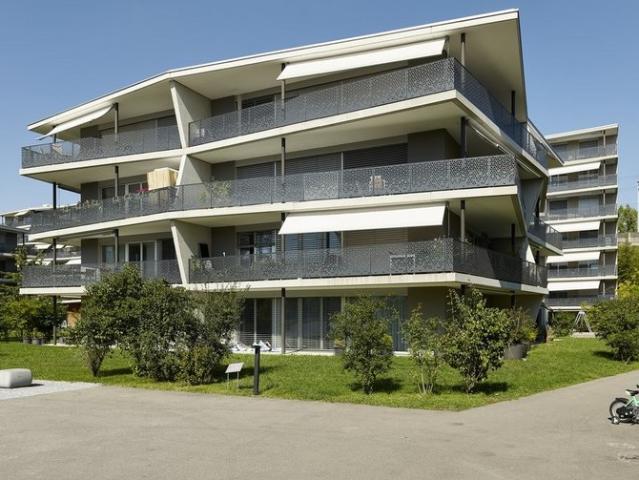 Apartment mieten in Brugg (AG), Aargau