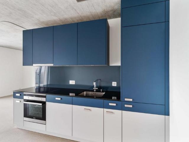 Apartment mieten in Dübendorf, Zürich