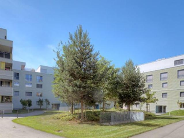 Apartment mieten in Sibemätteli, Aarau