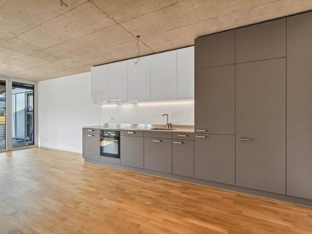 Apartment mieten in Reinach (BL), Basel-Landschaft