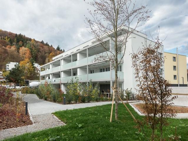 Apartment mieten in Hilfikon, Aargau