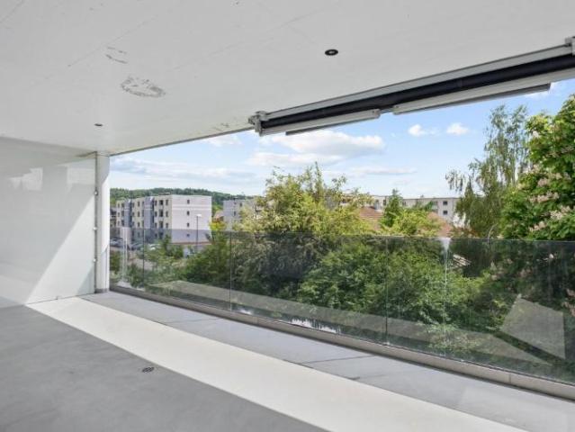 Apartment mieten in Niedergösgen, Solothurn