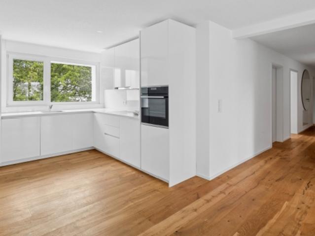 Wohnung mieten in Niedergösgen, Solothurn