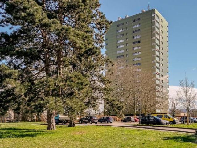 Apartment mieten in Birsfelden, Bezirk Arlesheim