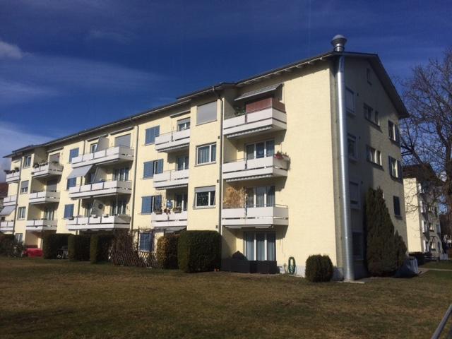 Apartment mieten in Riedikon, Uster