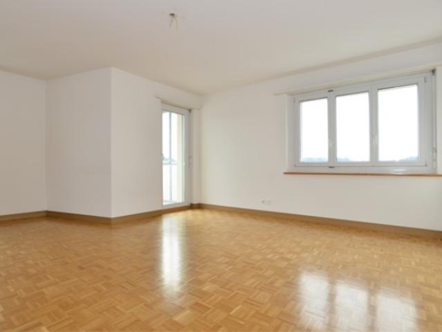 Wohnung mieten in Illnau-Effretikon, Zürich