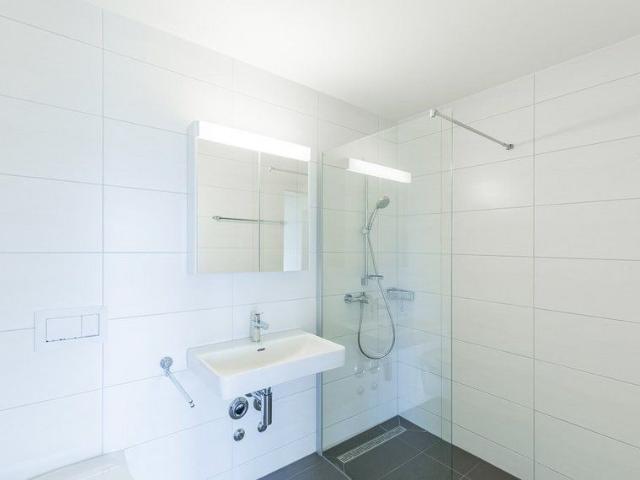 Apartment mieten in Lenzburg