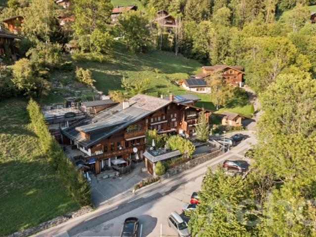 Einfamilienhaus kaufen in Rossinière, Waadt