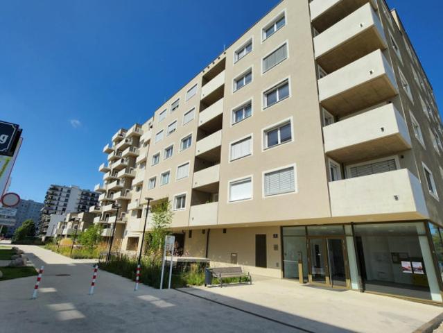 Wohnung kaufen in Donaustadt, Wien