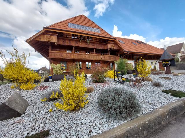 Apartment mieten in Murten, Freiburg
