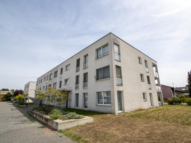 Apartment mieten in Aarberg, Bern