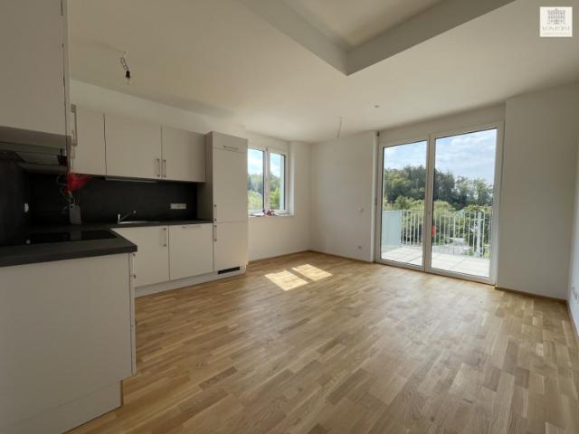 Wohnung kaufen in Höf, Weinitzen