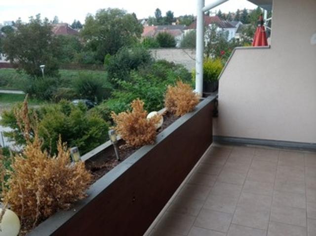 Apartment mieten in Gartenstadt, Hollabrunn