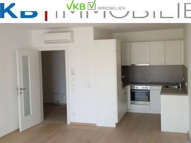 Apartment mieten in Kammer, Schörfling