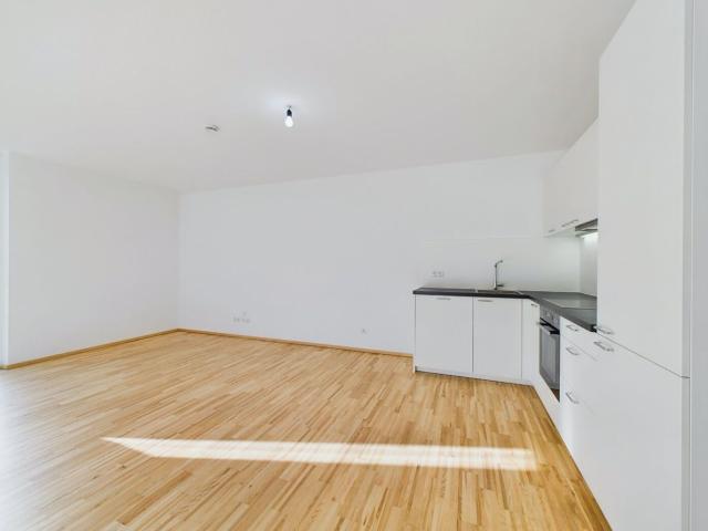 Wohnung mieten in Götzis, Bezirk Feldkirch