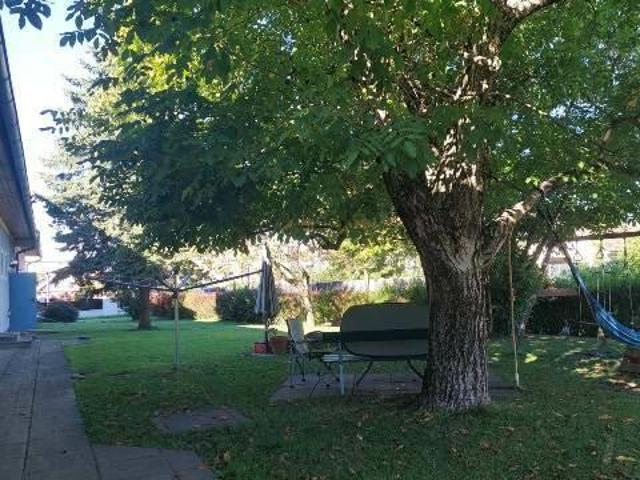 Apartment mieten in Waltendorf, Gersdorf-Feistritz