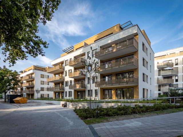 Apartment mieten in Süd, Ludwigshafen