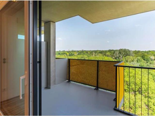 Apartment mieten in KG Inzersdorf Stadt, Wien