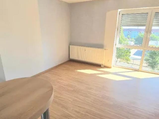 Apartment mieten in Haselbrunn, Plauen