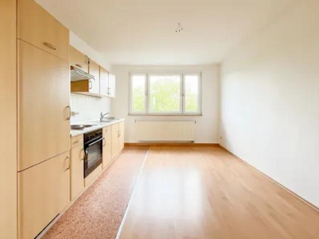 Apartment mieten in Zwoschwitz, Plauen