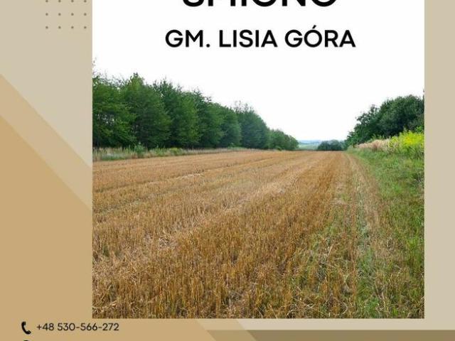 Grunt na sprzedaż w Lisia Góra, Małopolskie
