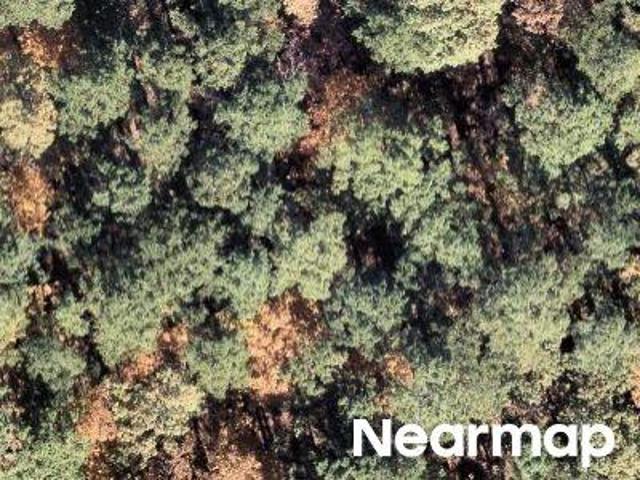 Land for sale in Ark