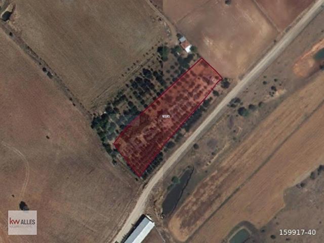 Belen, Mihalıççık içerisinde satılık Arsa
