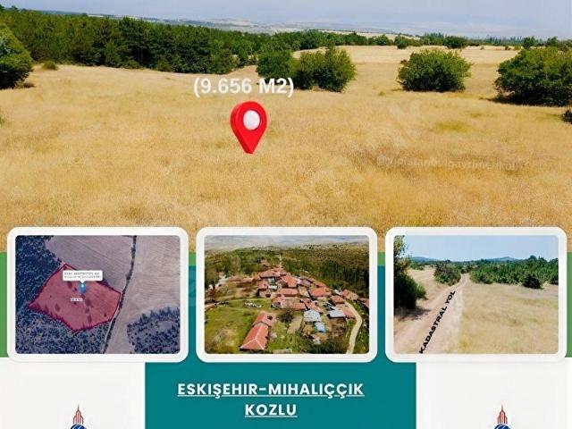 Kozlu, Mihalıççık içerisinde satılık Arsa