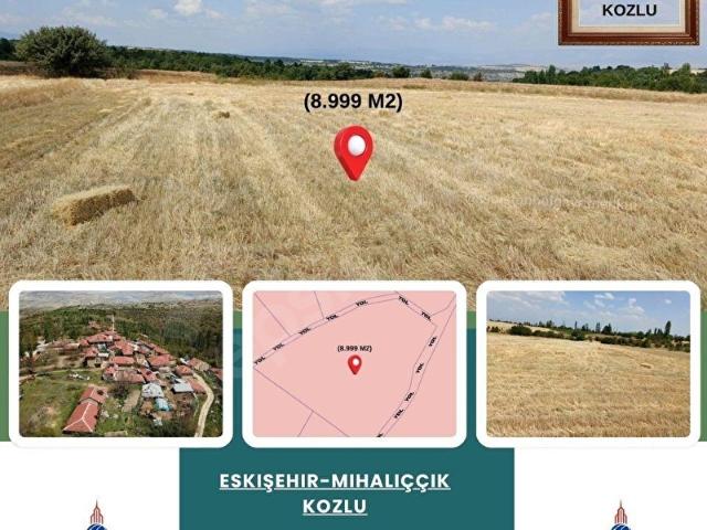 Kozlu, Mihalıççık içerisinde satılık Arsa