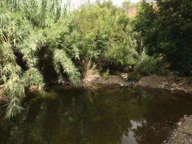 Apartamento en alquiler en Entrerríos, Mijas