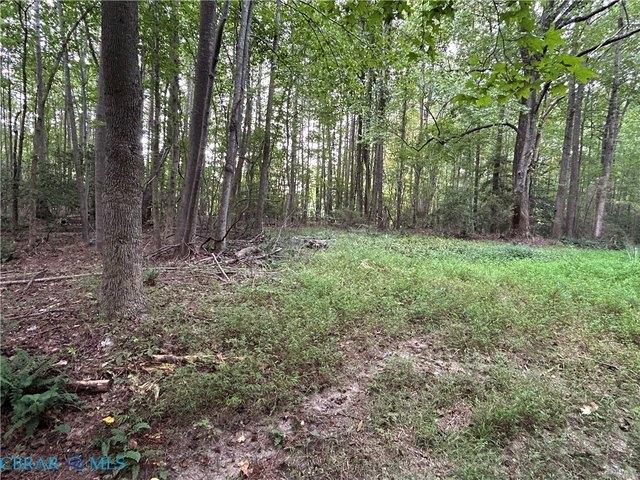 Land for sale in Wicomico Church, Northumberland County