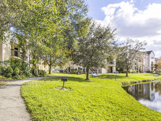 Apartment for rent in Tampa, Florida