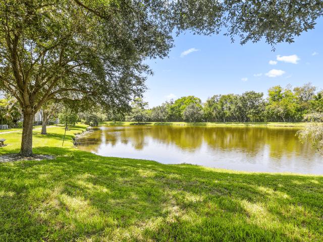 Apartment for rent in Belvedere Acres, Tampa
