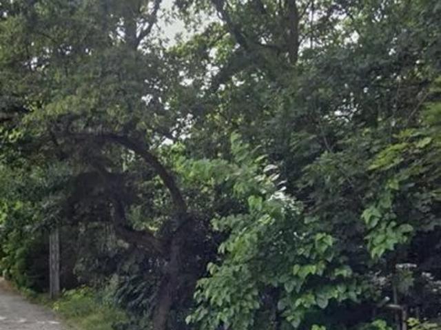Grunt na sprzedaż w Milanówek, Mazowieckie