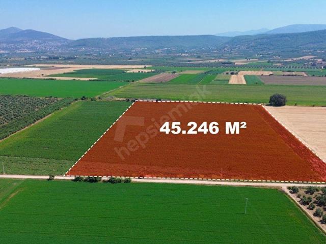 Milas, Muğla içerisinde satılık Fabrika