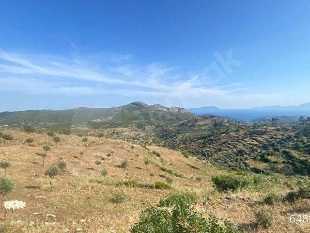 Milas, Muğla içerisinde satılık Arsa