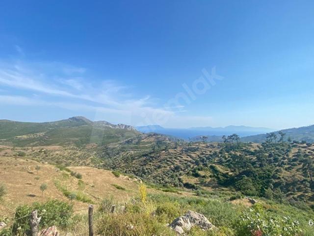 Milas, Muğla içerisinde satılık mülk