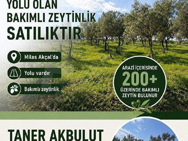 Milas, Muğla içerisinde satılık mülk
