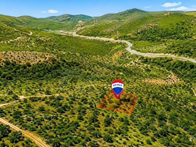 Milas, Muğla içerisinde satılık mülk