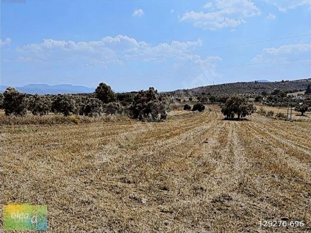 Milas, Muğla içerisinde satılık Arsa