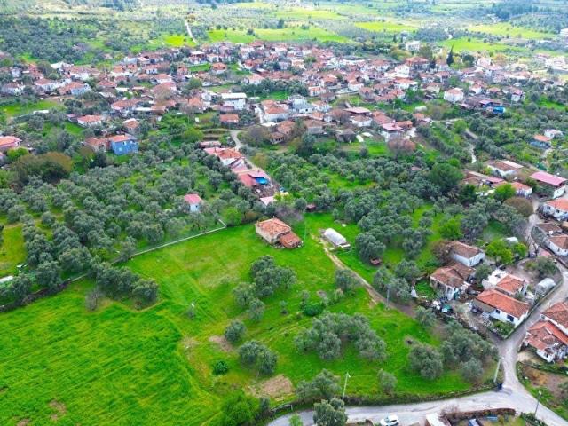 Çamköy, Milas içerisinde satılık Arsa
