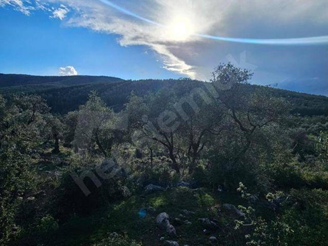 Milas, Muğla içerisinde satılık Arsa